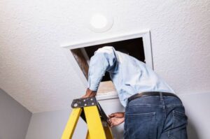 Roofer Checking an Attic