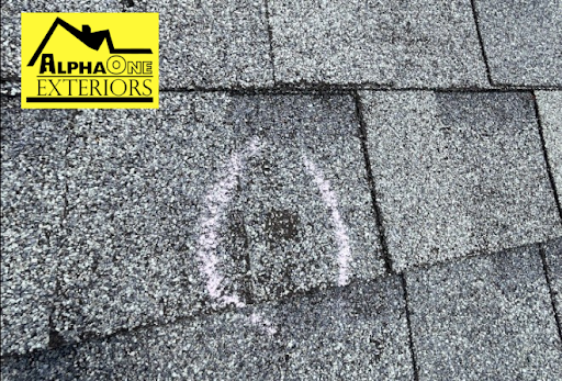 Close-up of asphalt roof shingles with a pink chalk circle marking a hail impact bruise and granule loss on a residential roof in Dayton, Ohio.