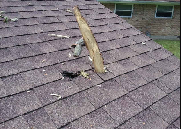 Broken tree limb speared through the asphalt shingles of a residential roof