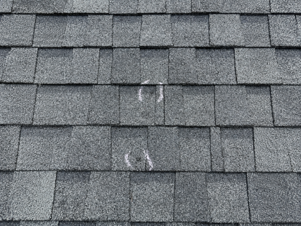 Hail damage to asphalt shingles in Tipp City, Ohio