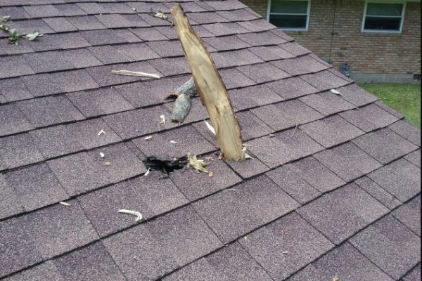 Fallen Tree Limb Roof Damage in Dayton Ohio