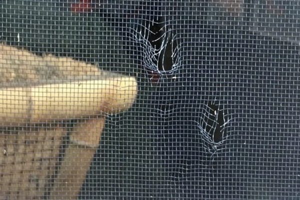 Visible holes in a window screen in Beavercreek, Ohio from hail.